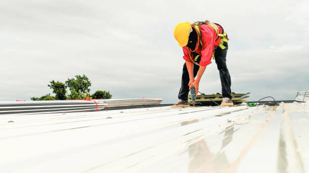 Best Roof Moss and Algae Removal  in Dilworthtown, PA